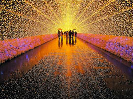 Millones de luces LED en un jardín botánico japonés